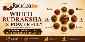 uploads/blog/519612355272786a81b44ce8df6powerful rudraksh.png